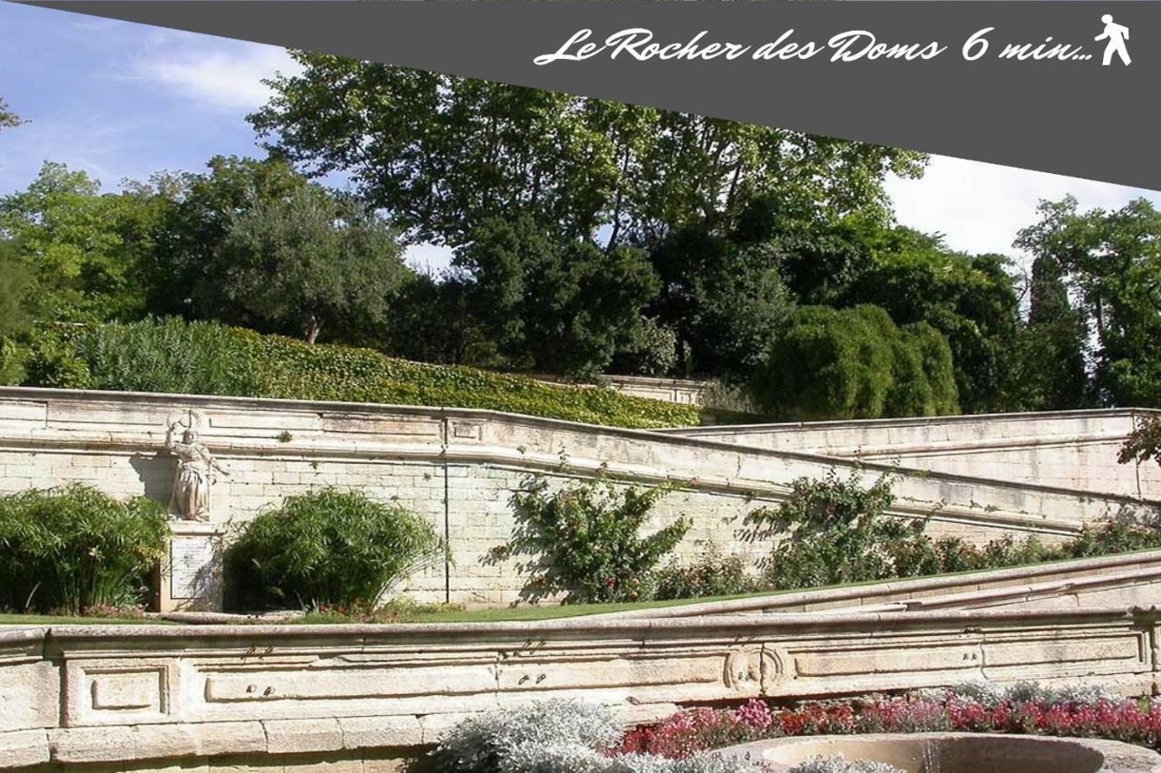 Le Chapeau Rouge Au Coeur Du Centre Historique Avignon Kültér fotó